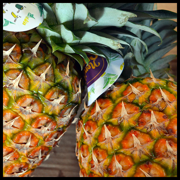 Ananas_600x600 Ananas_600x600
