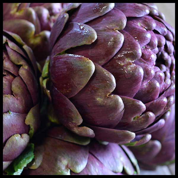 CARCIOFI CARCIOFI