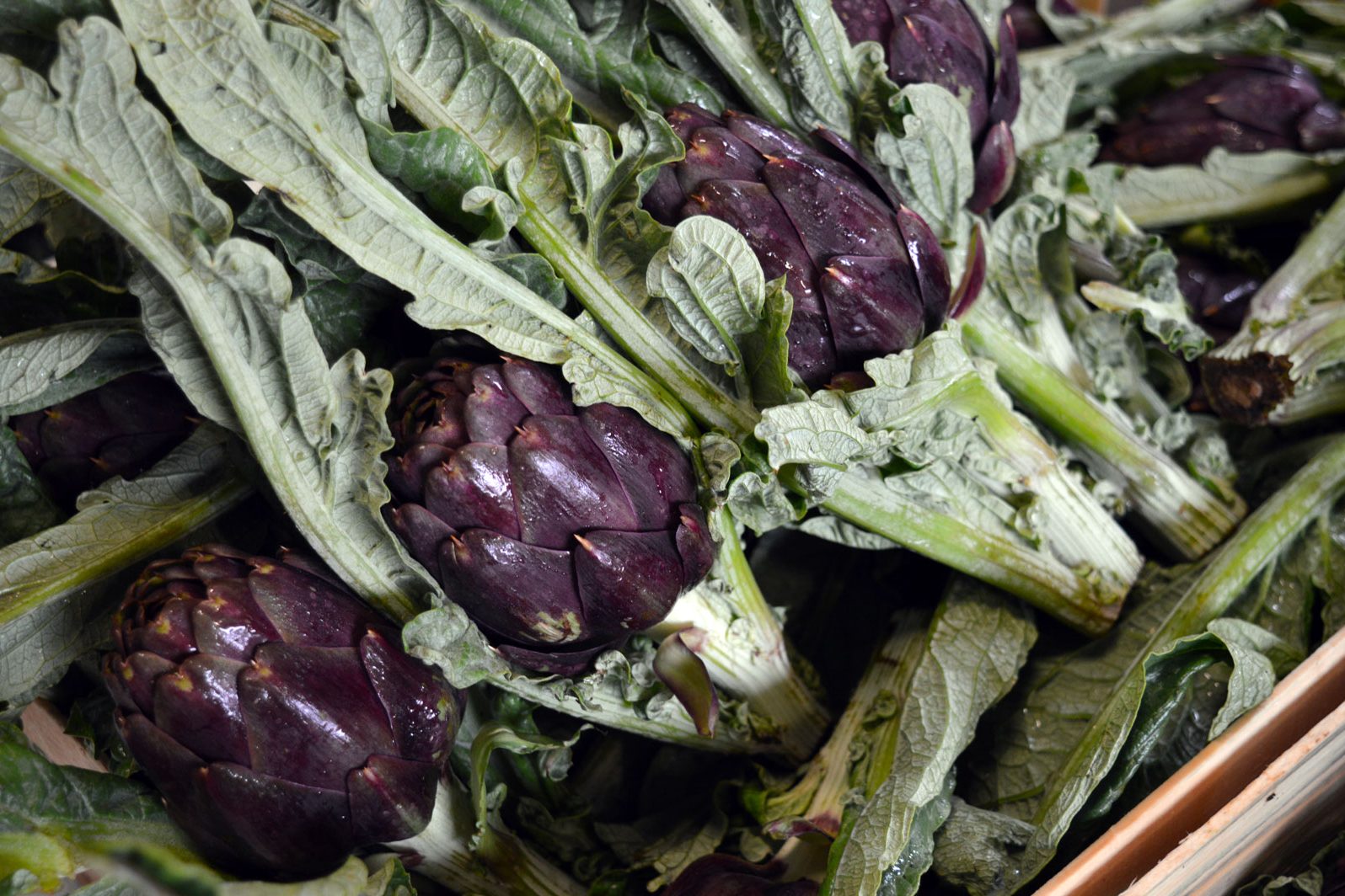 Carciofi