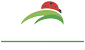 PRIMA SCELTA DISTRIBUZIONE