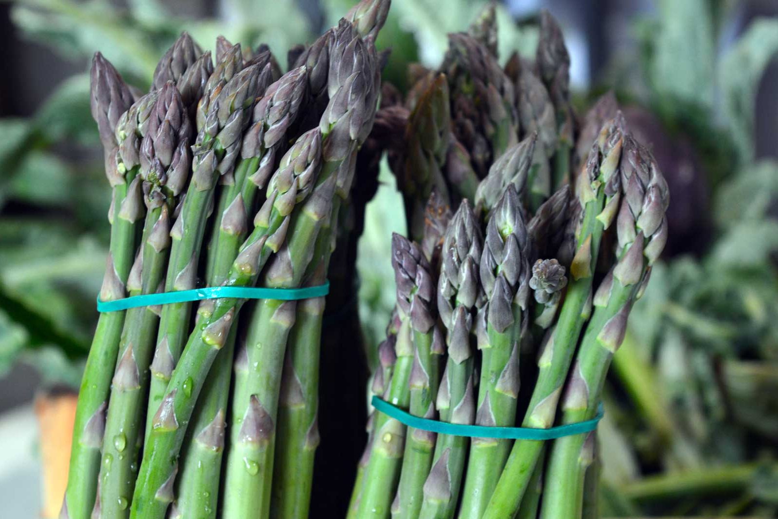 asparagi1