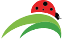 coccinella_135x82