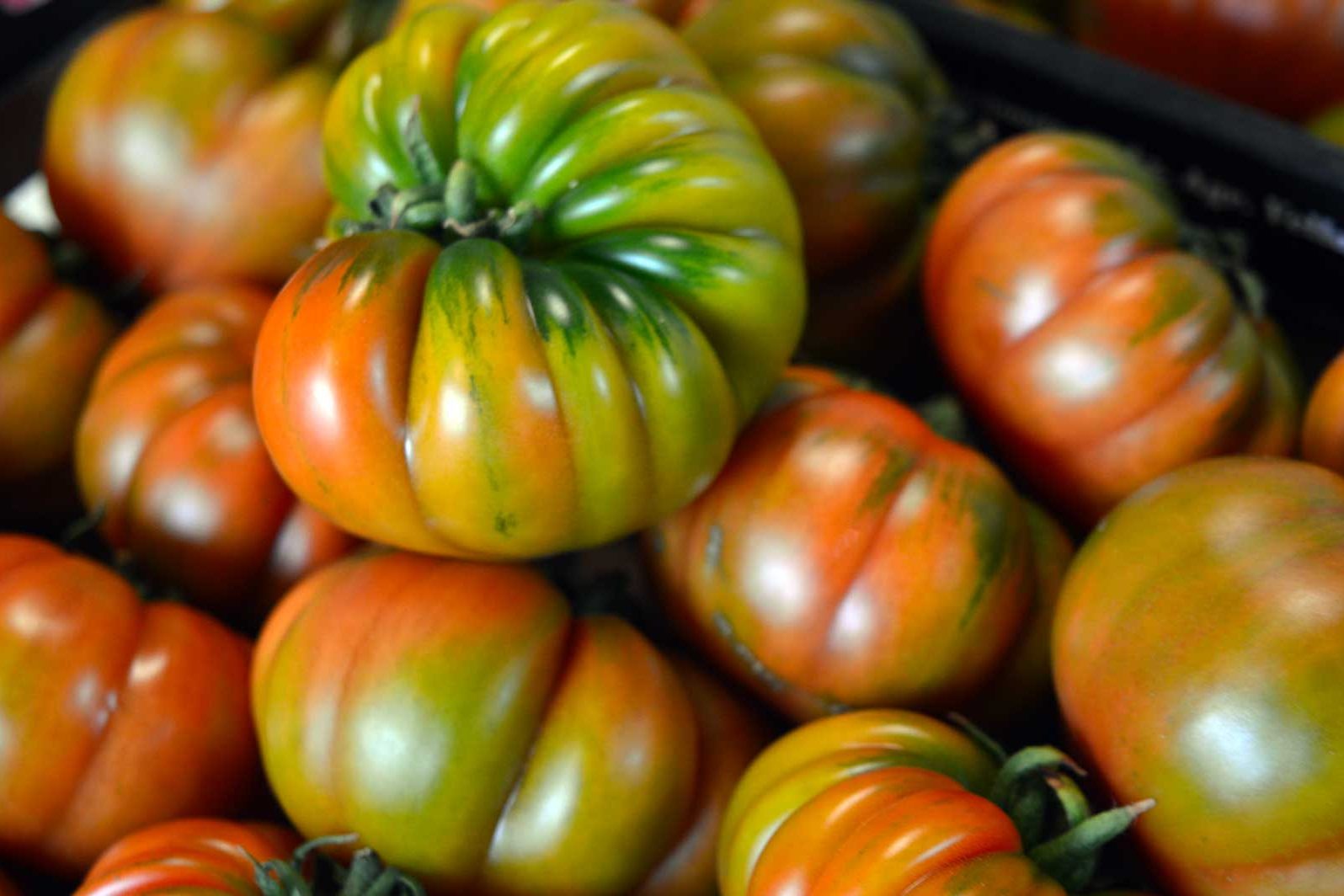pomodori