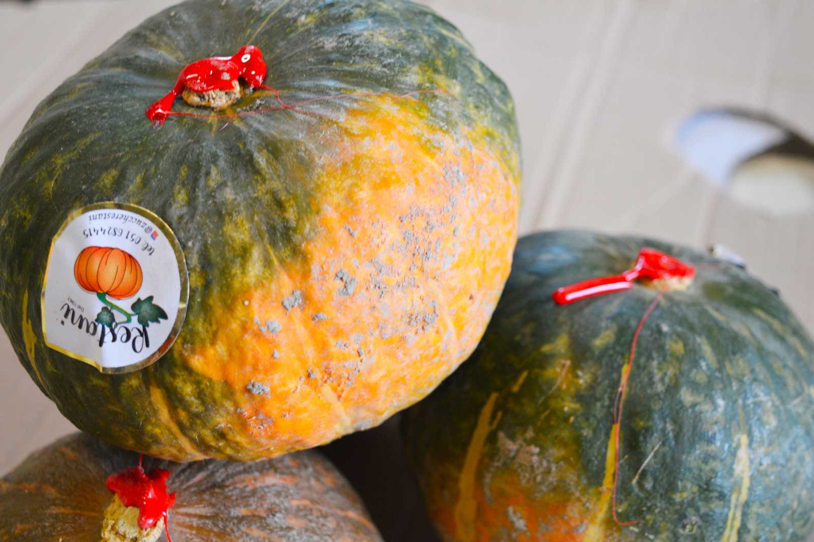 zucca