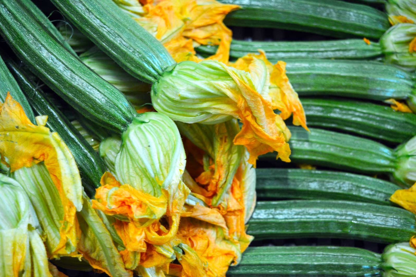 zucchine